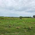  Vernon Dairy - Photo 5