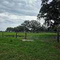  Vernon Dairy - Photo 6