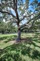 3525 Fairview Street - Photo 14