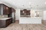 11641 Sweet Tangerine Lane - Photo 16