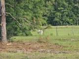 0 Spirit Ave Avenue - Photo 7