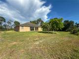 954 Marilyn Avenue - Photo 3