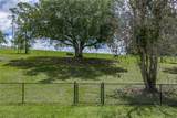 37624 Sky Ridge Circle - Photo 78