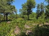 33410 Washington Loop Road - Photo 1