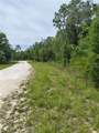  Cayman Road - Photo 3