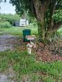 5498 Wilson Drive - Photo 6