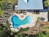 6388 Spider Lily Way - Photo 87