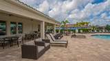 491 Daylily Boulevard - Photo 50