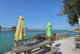 491 Daylily Boulevard - Photo 75
