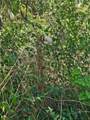  Tannahill Street - Photo 4