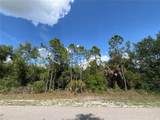 1174 Shetland Street - Photo 1