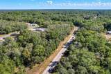 10562 Adler Drive - Photo 12
