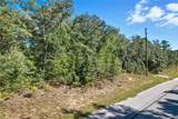 10562 Adler Drive - Photo 3