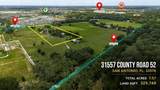 31619 County Road 52 - Photo 4
