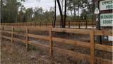  Ridge Manor Boulevard - Photo 5