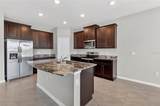 32107 Conchshell Sail Street - Photo 18