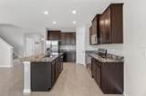 32107 Conchshell Sail Street - Photo 19