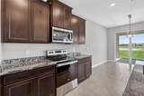 32107 Conchshell Sail Street - Photo 21