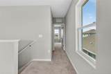 32107 Conchshell Sail Street - Photo 46