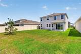 32107 Conchshell Sail Street - Photo 69