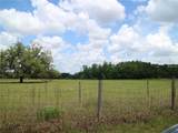 11819 Tarpon Springs Road - Photo 7