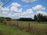 11819 Tarpon Springs Road - Photo 8