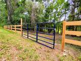  Fitzhugh Avenue - Photo 13