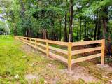  Fitzhugh Avenue - Photo 14