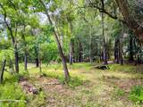  Fitzhugh Avenue - Photo 8