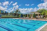 18157 Paradise Point Drive - Photo 37