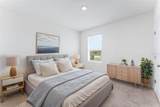 5038 Foxglove Circle - Photo 21