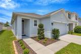33801 Jasmine Star Loop - Photo 29