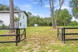 31848 Hedgerow Drive - Photo 5