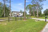 31848 Hedgerow Drive - Photo 6