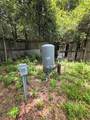 8443 Hamster Drive - Photo 4