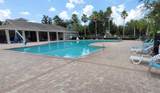 11115 Silver Dancer Drive - Photo 43