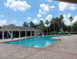 11115 Silver Dancer Drive - Photo 44