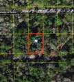 1243 1ST Street - Photo 2