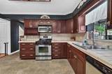 4121 De Leon Street - Photo 16