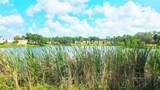 851 Keene Road - Photo 71