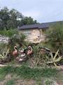8009 Paulson Lane - Photo 21