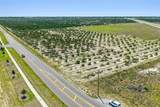  Panther Parkway - Photo 8