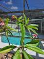 104 Nestlebranch Drive - Photo 33