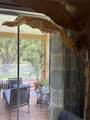30335 Lettingwell Circle - Photo 9