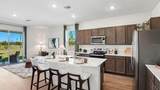 12603 Citrus Park Lane - Photo 12