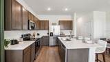 12603 Citrus Park Lane - Photo 14