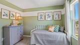12603 Citrus Park Lane - Photo 29
