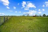 49021 Bermont Road - Photo 6
