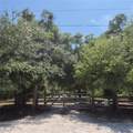12858 Hialeah Avenue - Photo 2