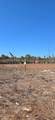 Lot 19 Tree Court - Photo 4